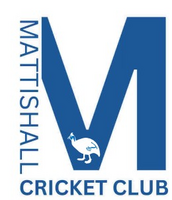 Mattishall CC