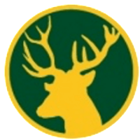 Ashtead CC