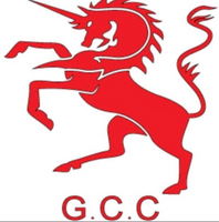 Gorseinon CC