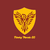 Frimley Phoenix CC