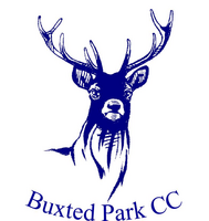 Buxted Park CC