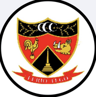 Congresbury CC