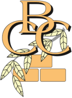 Binfield Cricket Club