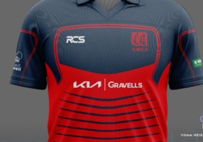 Carmarthen Wanderers CC