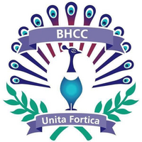 Bracebridge Heath CC