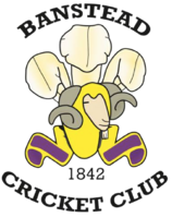 Banstead CC
