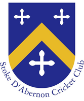 Stoke D'Abernon CC