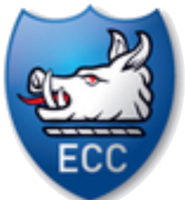 Eversholt CC