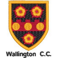 Wallington CC